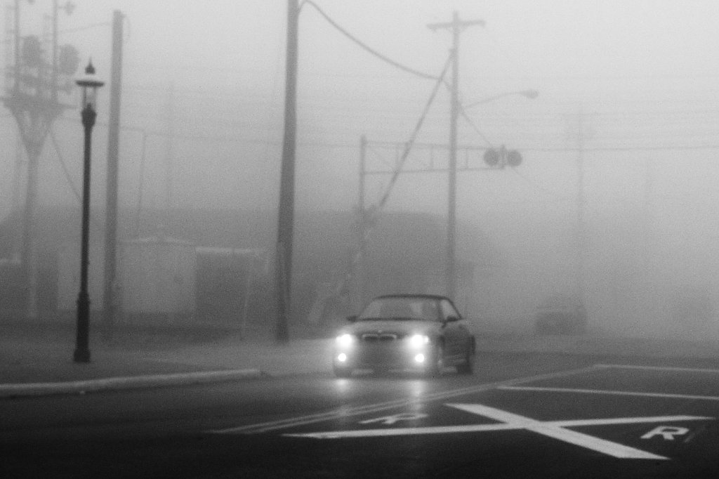 Foggy Morning Crossing